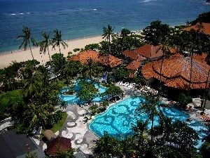 sea, Palms, Hotel hall, Pool