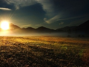 Fog, sun, Meadow