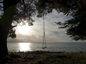 Swing, trees, sea, coast