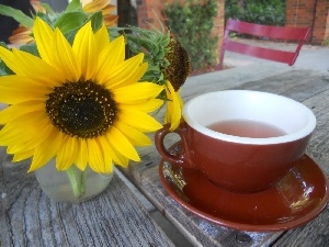 cup, tea, Sunflower