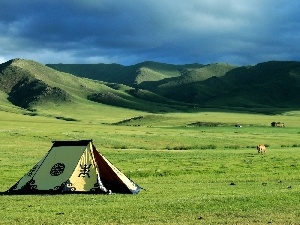 Mongolia, Tent, Steps