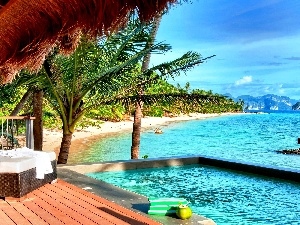 terrace, Pool, sea, Palm, Beaches