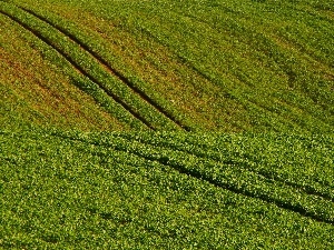 traces, tractor, Field