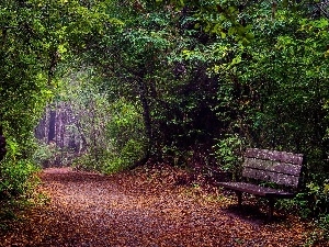 autumn, trees, Leaf, forest, viewes, Way, Bench
