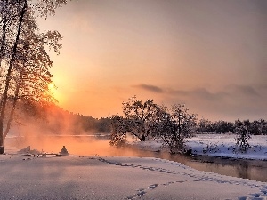Fog, trees, River, winter, viewes, dawn, forest