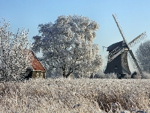 trees, grass, Windmill, viewes, frosted