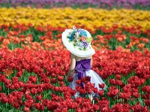 tulips, Field, girl, hat