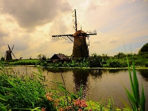 River, VEGETATION, Windmills