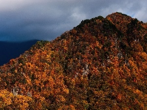 viewes, trees, mountains, autumn, color