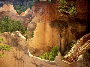 viewes, trees, canyon, rocks