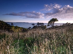 viewes, Islands, trees, Coast, clouds, grass