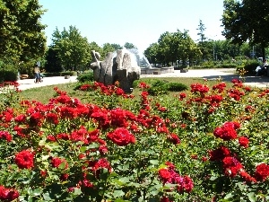 viewes, trees, Park, fountain, roses