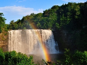 viewes, trees, waterfall, forest, Great Rainbows