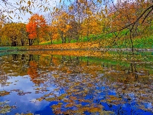 Leaf, viewes, Pond - car, Park, autumn, trees