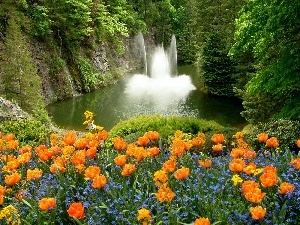Tulips, Forget, waterfall
