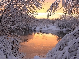 viewes, trees, winter, River
