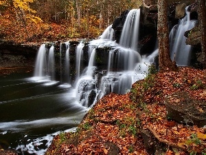 forest, waterfall, autumn