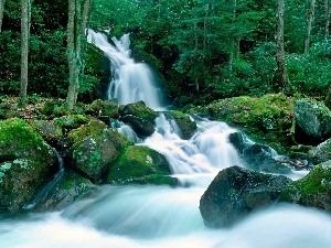 waterfall, mosses, forest, boulders