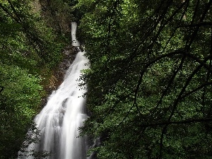 waterfall, green, trees, viewes