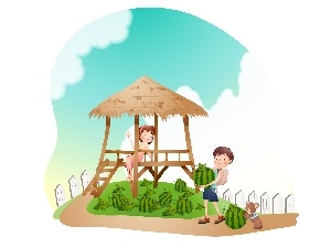 plantation, watermelons, Kids