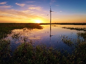 Windmill, Backwaters, water, west, grass, sun