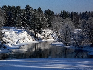 forest, winter, River