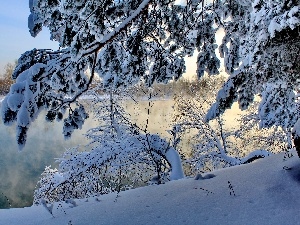 winter, viewes, River, trees