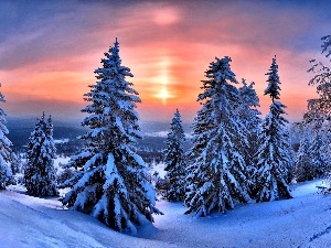 winter, Great Sunsets, Christmas