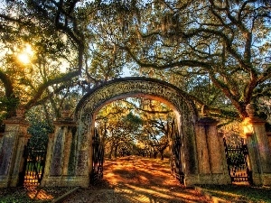 Gate, trees, viewes, Park, light breaking through sky, alley
