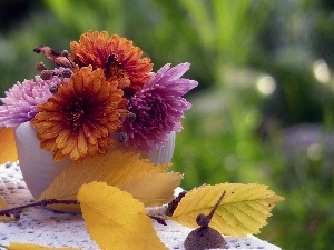 autumn, twig, small bunch, chrysanthemums