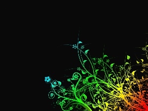 background, Black, rainbow, Flowers