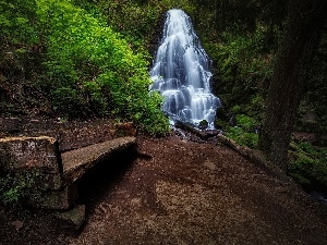 Bench, Path, forest, waterfall