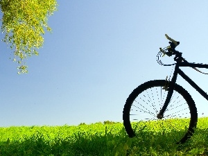 Bike, Meadow