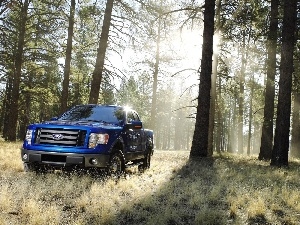 Ranger, blue, grass, forest, Ford, trees, viewes
