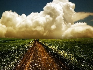 Path, clouds, Field