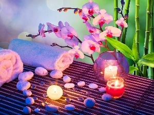 composition, Stones, orchids, Spa, Candles