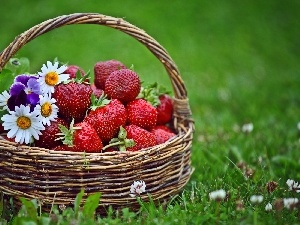 flowers, small bunch, basket, grass, strawberries