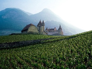 France, vineyard, Mountains, Castle