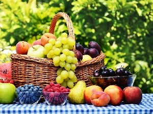 basket, Garden, Fruits
