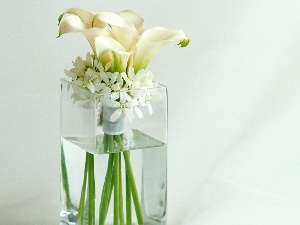 glass, flowers, composition, Vase, white