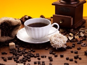 grains, coffee, mill, cup