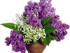 Lilacs, purple, bouquet, white