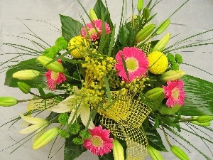 lilies, gerberas, color, bouquet