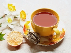 narcissus, Lemon, cup, tea