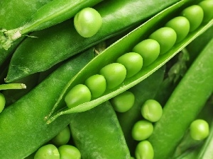 green, pea, pods