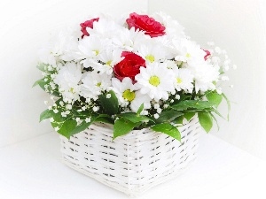 Red, daisy, basket, roses, White