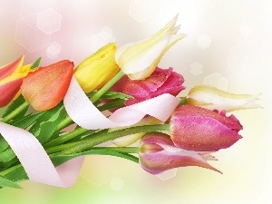 tulips, ribbon, bouquet