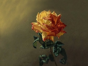 painting, rose, picture