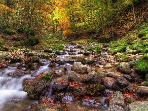 Stones, brook, autumn, forest