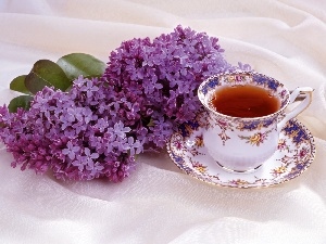tea, cup, Violet, without